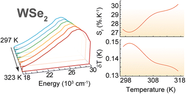 Graphical abstract: Morphology does not matter: WSe2 luminescence nanothermometry unravelled