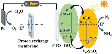 Graphical abstract: Photoelectrochemical-driven nitrogen reduction to ammonia by a Vo-SnO2/TiO2 composite electrode