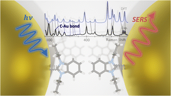 Graphical abstract: Insight into the nature of carbon–metal bonding for N-heterocyclic carbenes in gold/silver complexes and nanoparticles using DFT-correlated Raman spectroscopy: strong evidence for π-backbonding