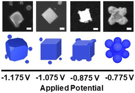 Graphical abstract: Bridging colloidal and electrochemical syntheses of metal nanocrystals with seeded electrodeposition for tracking single nanocrystal growth