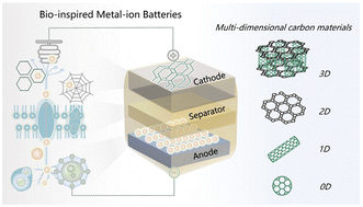 Graphical abstract: Bio-inspired carbon electrodes for metal-ion batteries