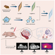 Graphical abstract: Bionic nanotheranostic for multimodal imaging-guided NIR-II-photothermal cancer therapy