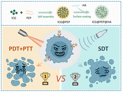 Graphical abstract: External stimuli-triggered photodynamic and sonodynamic therapies in combination with hybrid nanomicelles of ICG@PEP@HA: laser vs. ultrasound