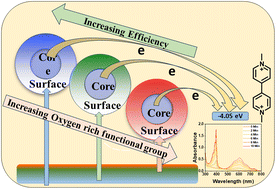 Graphical abstract: Delineating the core and surface state heterogeneity of carbon dots during electron transfer