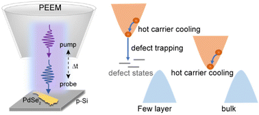 Graphical abstract: Layer-dependent ultrafast carrier dynamics of PdSe2 investigated by photoemission electron microscopy