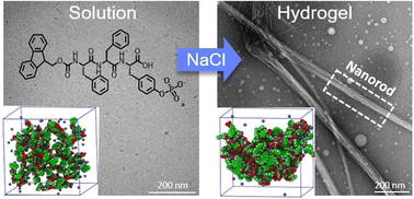 Graphical abstract: Salt-induced Fmoc-tripeptide supramolecular hydrogels: a combined experimental and computational study of the self-assembly