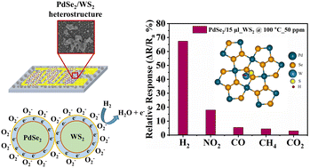 Graphical abstract: Catalytic synergy of WS2-anchored PdSe2 for highly sensitive hydrogen gas sensor