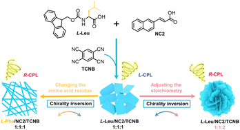 Graphical abstract: Achiral substituent- and stoichiometry-controlled inversion of supramolecular chirality and circularly polarized luminescence in ternary co-assemblies