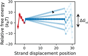 Graphical abstract: Strong sequence–dependence in RNA/DNA hybrid strand displacement kinetics