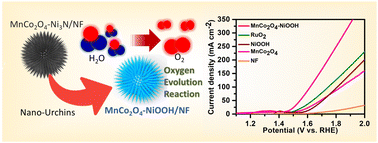 Graphical abstract: Electronic redistribution through the interface of MnCo2O4–Ni3N nano-urchins prompts rapid In situ phase transformation for enhanced oxygen evolution reaction