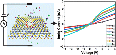 Graphical abstract: Asymmetric ion transport through “Janus” MoSSe sub-nanometer pores