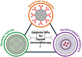 Graphical abstract: Dendritic nanoparticles for immune modulation: a potential next-generation nanocarrier for cancer immunotherapy