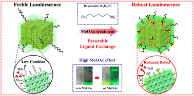 Graphical abstract: Surface defect mitigation via alkyl-ligand-controlled purification for stable and high-luminescence perovskite quantum dots