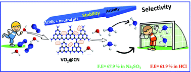 Graphical abstract: Strategic design of VO2 encased in N-doped carbon as an efficient electrocatalyst for the nitrogen reduction reaction in neutral and acidic media