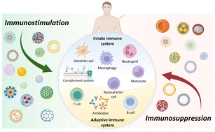 Graphical abstract: Advances in engineered nanosystems: immunomodulatory interactions for therapeutic applications