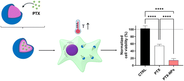 Graphical abstract: Zwitterionic nanoparticles for thermally activated drug delivery in hyperthermia cancer treatment