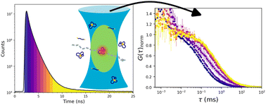 Graphical abstract: Understanding associative polymer self-assembly with shrinking gate fluorescence correlation spectroscopy