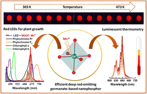 Graphical abstract: A highly efficient deep red-emitting Mn4+-powered oxyfluoride nanophosphor developed for plant growth and optical thermometric applications