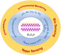 Graphical abstract: Recent advances in bismuth oxychalcogenide nanosheets for sensing applications