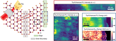 Graphical abstract: Disentangling doping and strain effects at defects of grown MoS2 monolayers with nano-optical spectroscopy