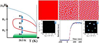 Graphical abstract: Skyrmion lattice formation and destruction mechanisms probed with TR-SANS