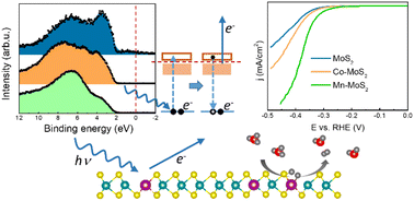 Graphical abstract: On the origin of the improved hydrogen evolution reaction in Mn- and Co-doped MoS2