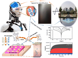 Graphical abstract: Unveiling cutting-edge developments: architectures and nanostructured materials for application in optoelectronic artificial synapses