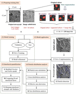 Graphical abstract: Deep learning-assisted morphological segmentation for effective particle area estimation and prediction of interfacial properties in polymer composites