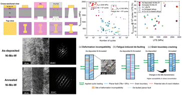 Graphical abstract: Fatigue behavior of freestanding nickel–molybdenum–tungsten thin films with high-density planar faults