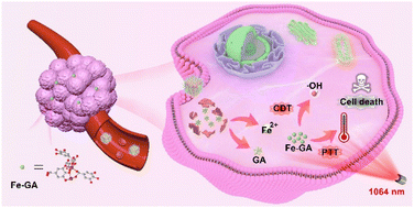 Graphical abstract: Gallic acid-loaded HFZIF-8 for tumor-targeted delivery and thermal-catalytic therapy