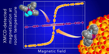 Graphical abstract: Room-temperature-persistent magnetic interaction between coordination complexes and nanoparticles in maghemite-based nanohybrids