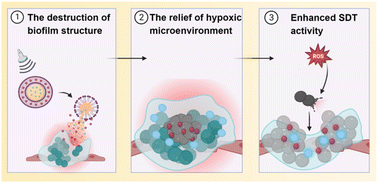 Graphical abstract: Ultrasound-responsive gallium protoporphyrin and oxygen loaded perfluoropentane nanodroplets for effective sonodynamic therapy of implant infections