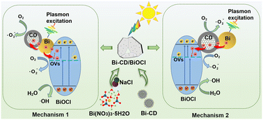 Graphical abstract: Robust Bi-anchoring carbon dot/BiOCl sheet heterojunction photocatalysts toward superior photocatalytic activity
