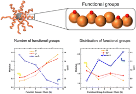 Graphical abstract: Advancing elastomer performance with dynamic bond networks in polymer-grafted single-chain nanoparticles: a molecular dynamics exploration