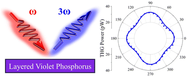 Graphical abstract: Strong anisotropic third-harmonic generation in layered violet phosphorus