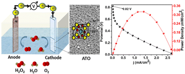 Graphical abstract: A robust single compartment peroxide fuel cell using mesoporous antimony doped tin oxide as the cathode material