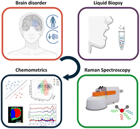 Graphical abstract: Unveiling brain disorders using liquid biopsy and Raman spectroscopy