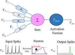Graphical abstract: Strain-mediated multistate skyrmion for neuron devices