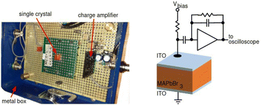 Graphical abstract: Direct detection of minimum ionizing charged particles in a perovskite single crystal detector with single particle sensitivity