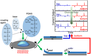 Graphical abstract: Tailoring morphological and chemical contributions of nanoscale charge transfer for enhanced triboelectric nanogenerators