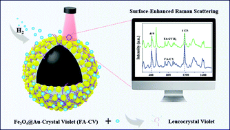 Graphical abstract: Crystal violet-modified Fe3O4@Au SERS probes: a novel highly sensitive method for H2 detection