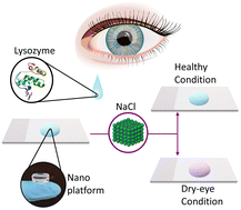 Graphical abstract: Lysozyme-sensitive plasmonic hydrogel nanocomposite for colorimetric dry-eye inflammation biosensing