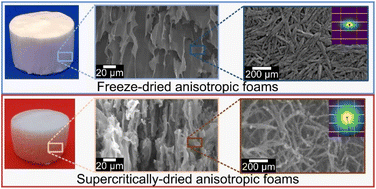 Graphical abstract: The influence of drying routes on the properties of anisotropic all-cellulose composite foams from post-consumer cotton clothing