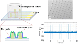 Graphical abstract: Laser-patterned epoxy-based 3D microelectrode arrays for extracellular recording