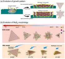 Graphical abstract: The effect of sulfuration reaction rates with sulphur concentration gradient dependence on the growth pattern and morphological evolution of MoS2 in laminar flow