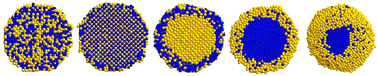 Graphical abstract: Effect of composition and architecture on the thermodynamic behavior of AuCu nanoparticles