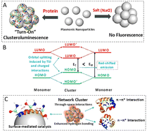 Graphical abstract: Imaging of intracellular protein aggregates through plasmon-assisted clusteroluminescence