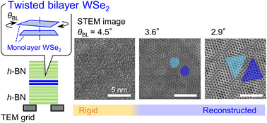 Graphical abstract: Crossover between rigid and reconstructed moiré lattice in h-BN-encapsulated twisted bilayer WSe2 with different twist angles