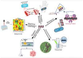 Graphical abstract: Recent advances on applications of single-walled carbon nanotubes as cutting-edge optical nanosensors for biosensing technologies