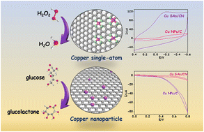 Graphical abstract: Selecting effective eletrocatalyst from Cu single-atoms and nanoparticles for realizing highly sensitive electrochemical sensing of glucose and H2O2